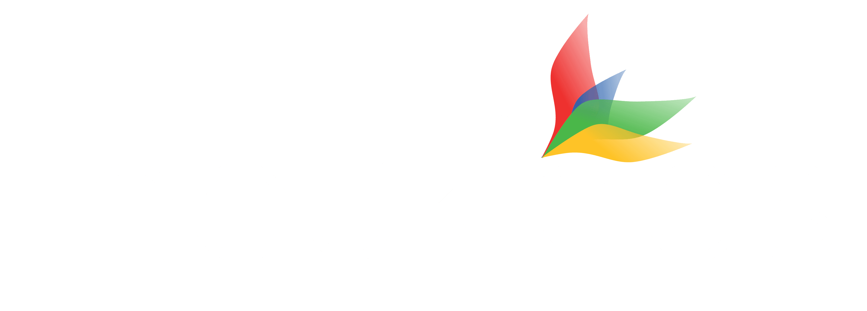 Nuekleos logo