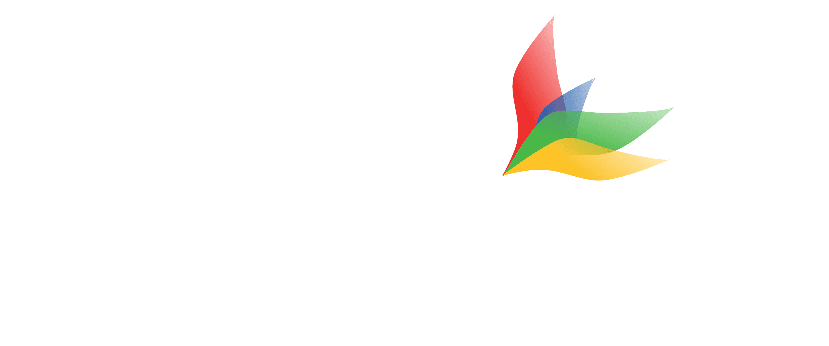Nuekleos logo